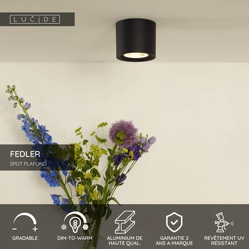 Lucide FEDLER - Spot plafond - Ø 12 cm - LED Dim to warm - GU10 (ES111) - 1x12W 2200K/3000K - Noir - USP